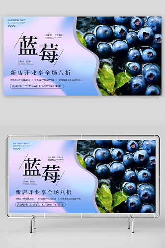 蓝莓水果店图片展板