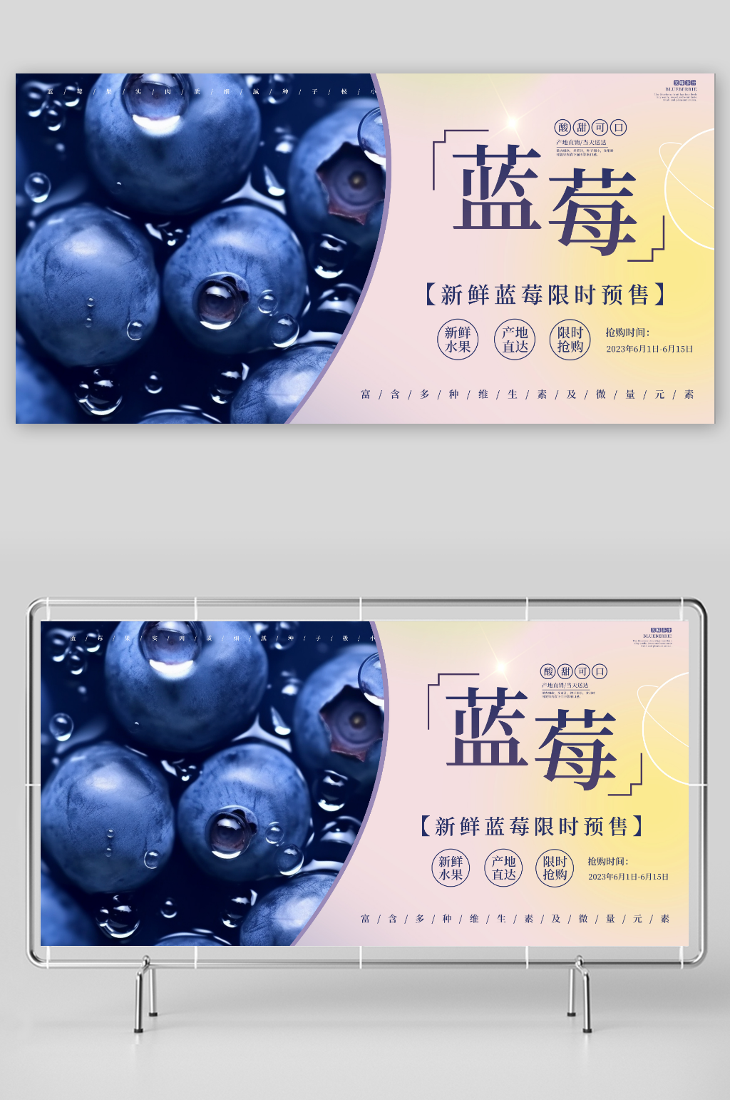 新鲜蓝莓水果店图片展板素材