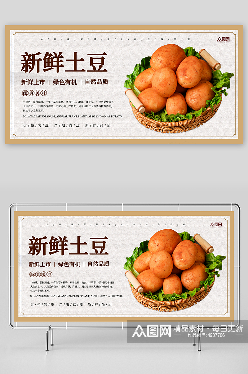 新鲜土豆马铃薯蔬菜展板素材