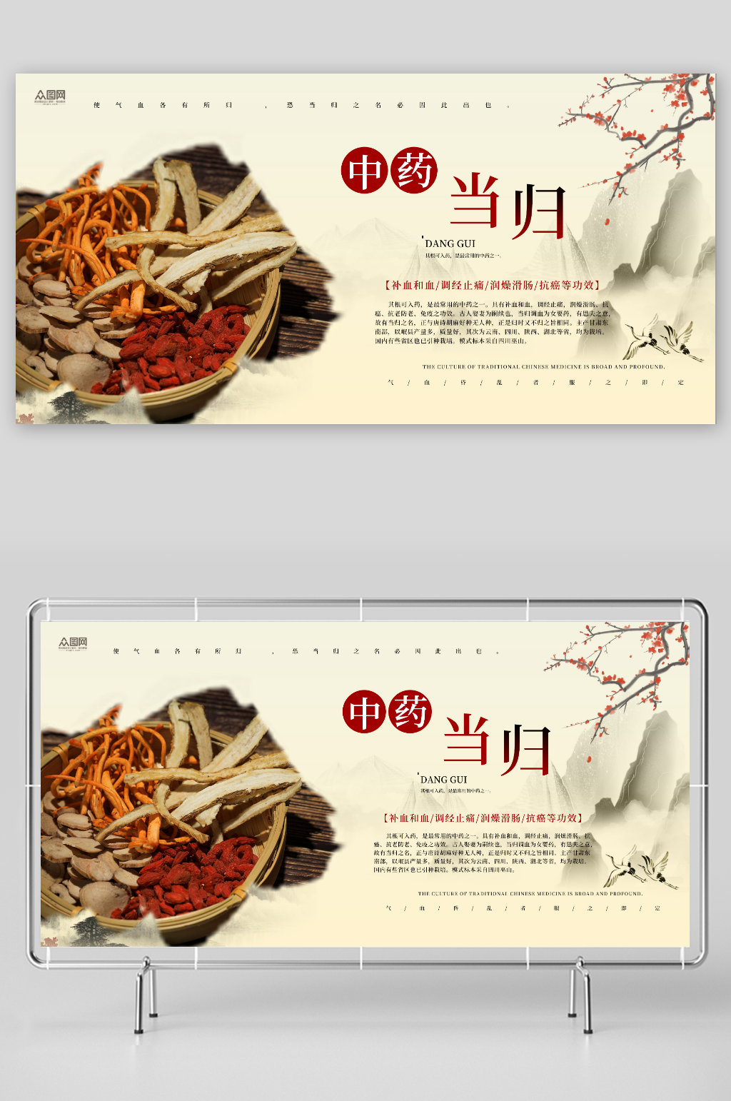 养生当归药材中药展板素材