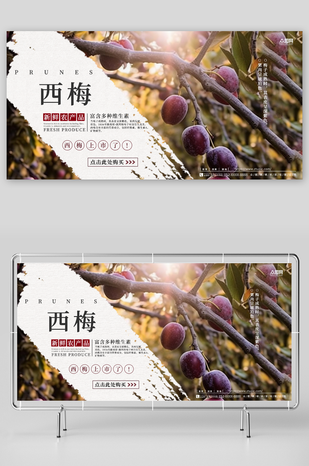 西梅李子夏季水果果园促销展板素材
