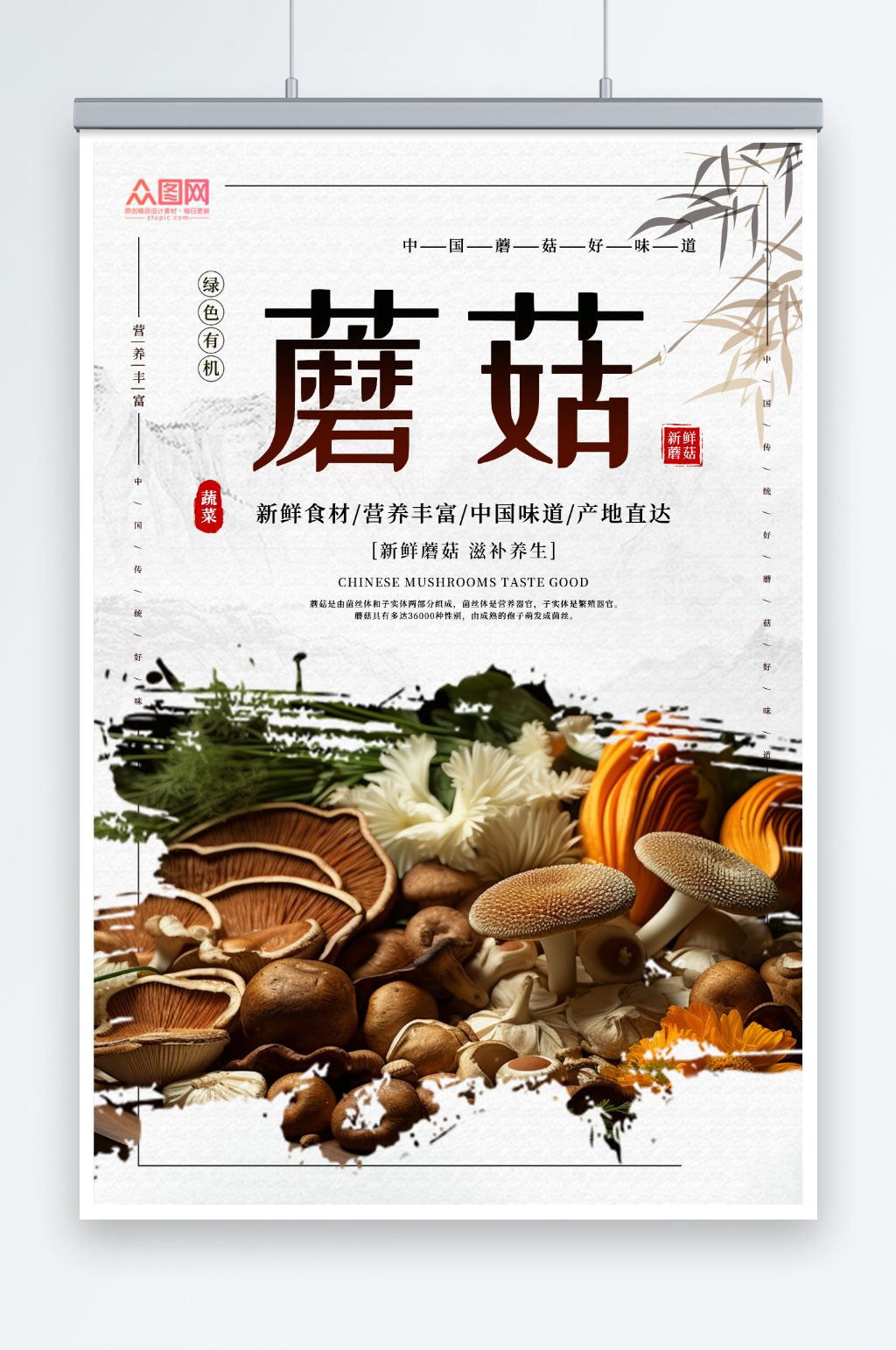 蘑菇菌菇蔬菜海报素材