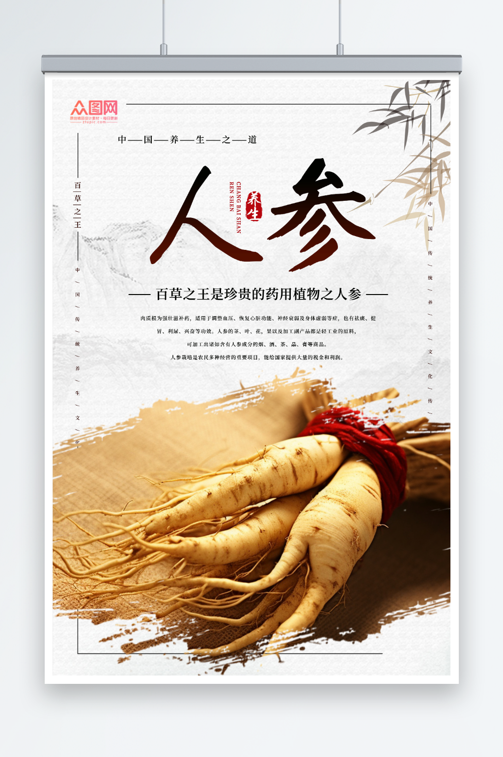 中药药材人参海报素材