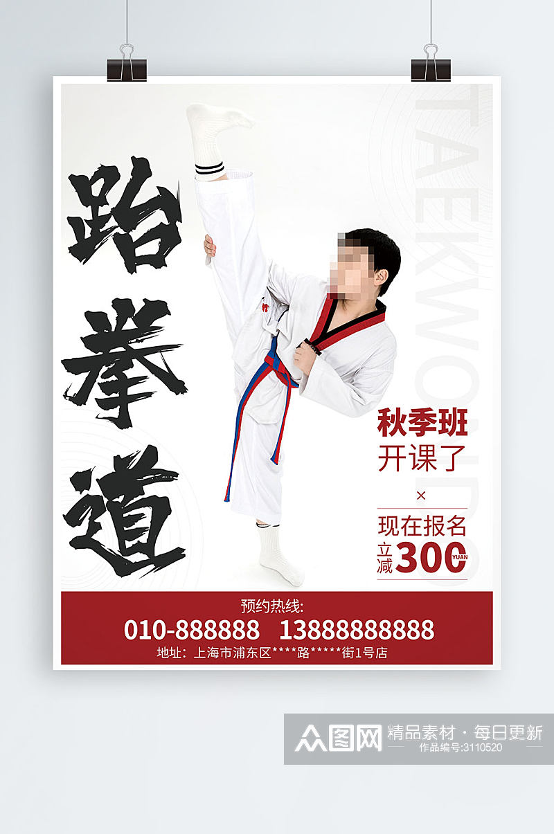 跆拳道海报儿童武术兴趣班培训班宣传海报素材