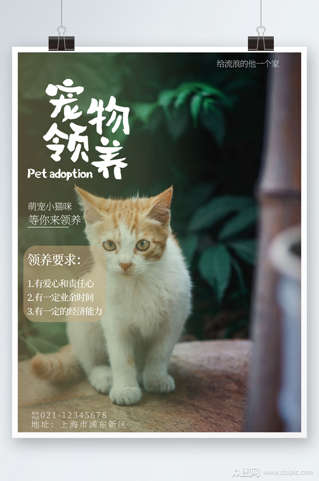 宠物领养海报图片素材