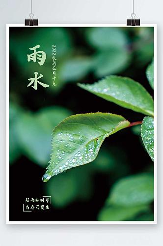 绿色清新露珠雨水节气海报