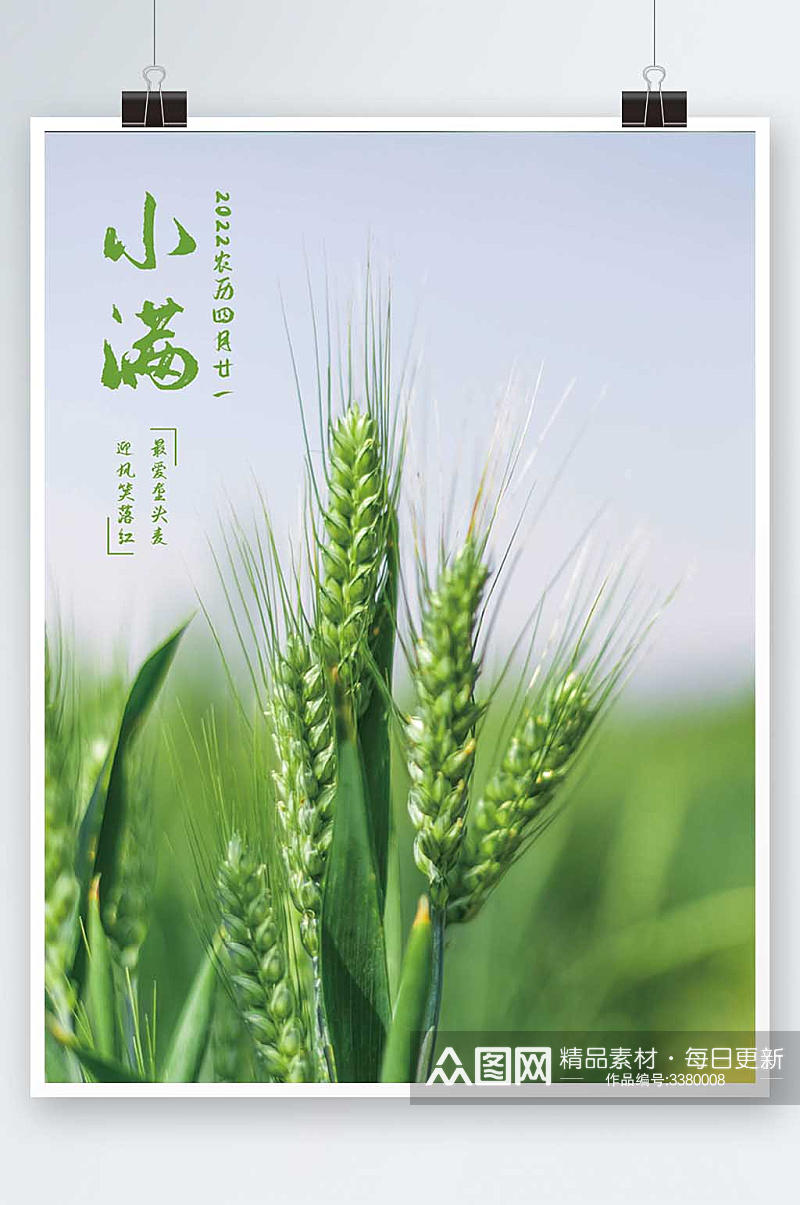 绿色清新小麦小满节气海报素材