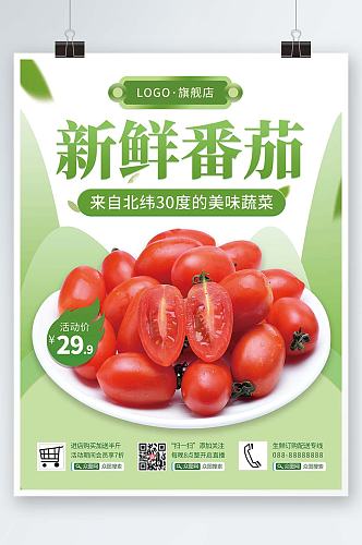 西红柿小番茄圣女果食品水果蔬菜海报价签
