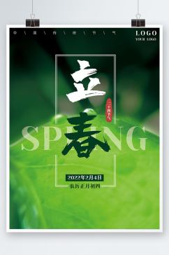 立春24节气春天简约绿色树叶植物海报