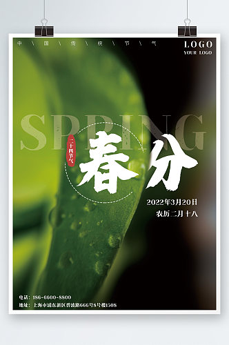春分24节气绿色树叶植物简约海报