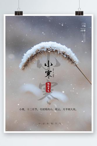 简约小寒大寒节气冬至下雪中国传统节日海报