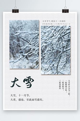 二十四节气大雪树枝落雪海报