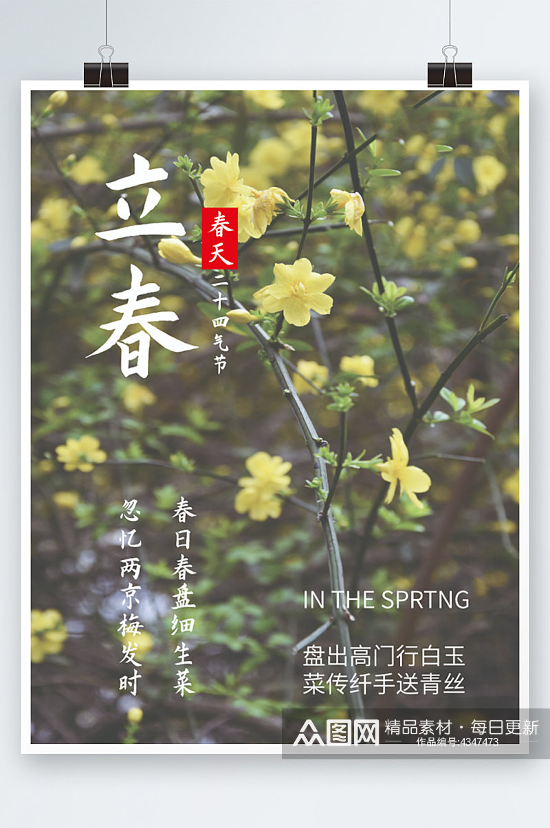 立春春节春天二十四气节素材