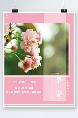 小清新樱花花语早安海报节每日一签