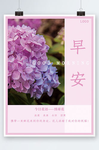 绣球花今日花语早安海报