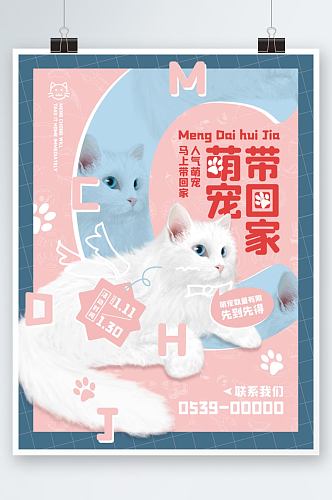 原创萌宠商业海报蓝红色调猫猫宠物宣传单页