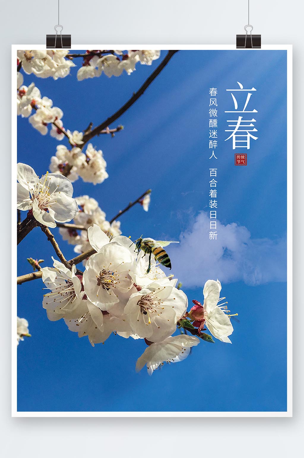 二十四节气简约立春海报素材