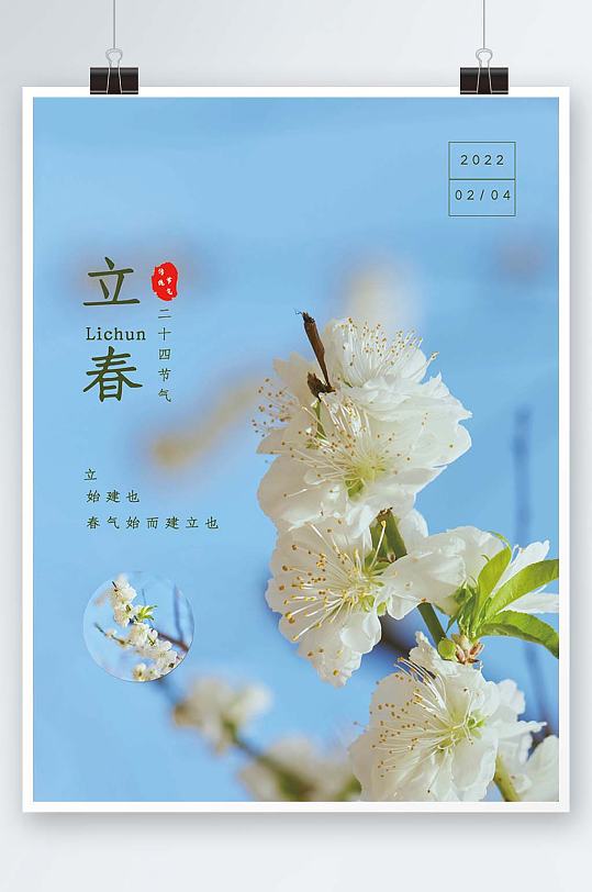 2022年立春简约桃花商业海报