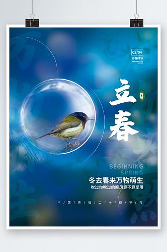 创意简约小清新花鸟立春传统节气节日海报
