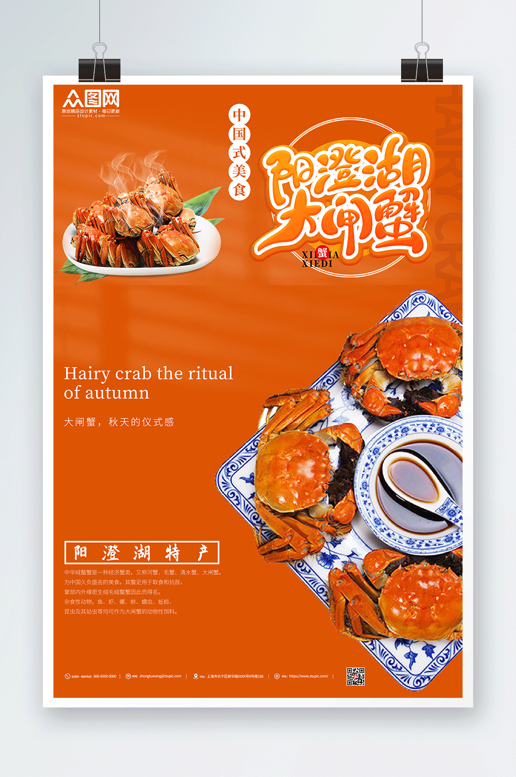 中国美食澄阳湖大闸蟹金秋螃蟹大闸蟹海报素材
