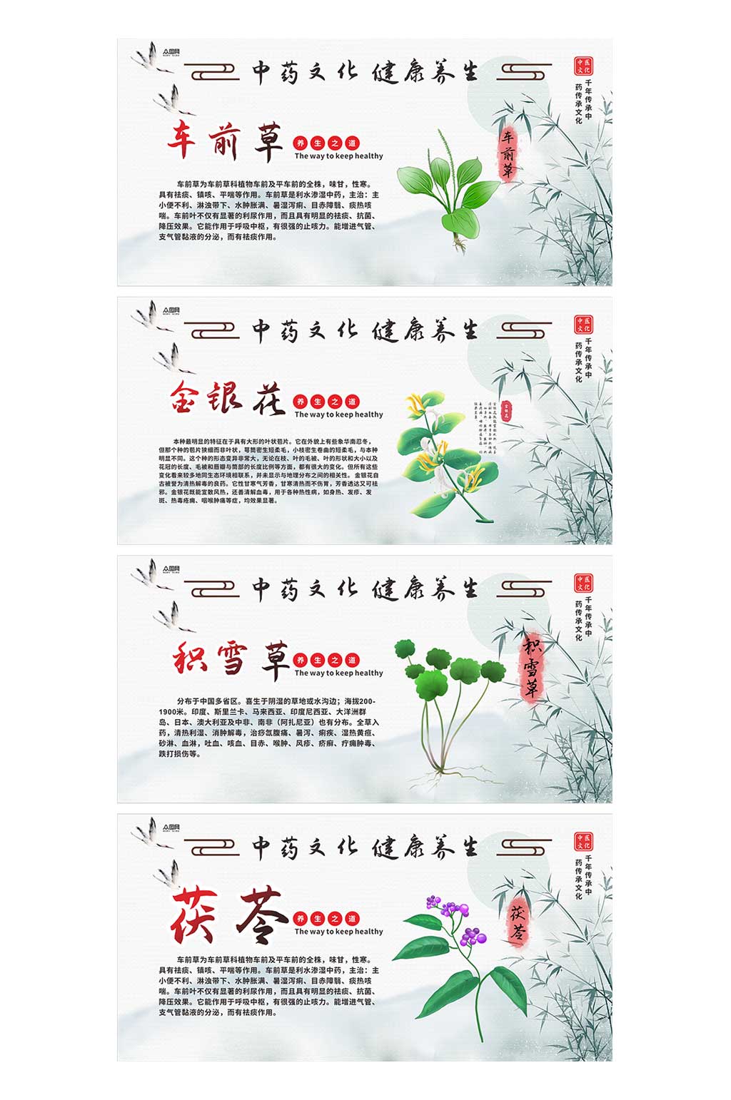 简约中医中药药材宣传系列海报素材
