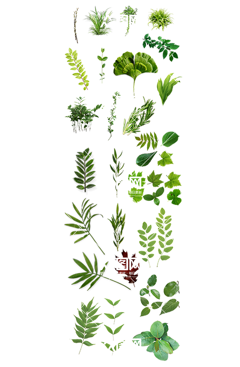 绿色植物装饰免扣绿叶素材