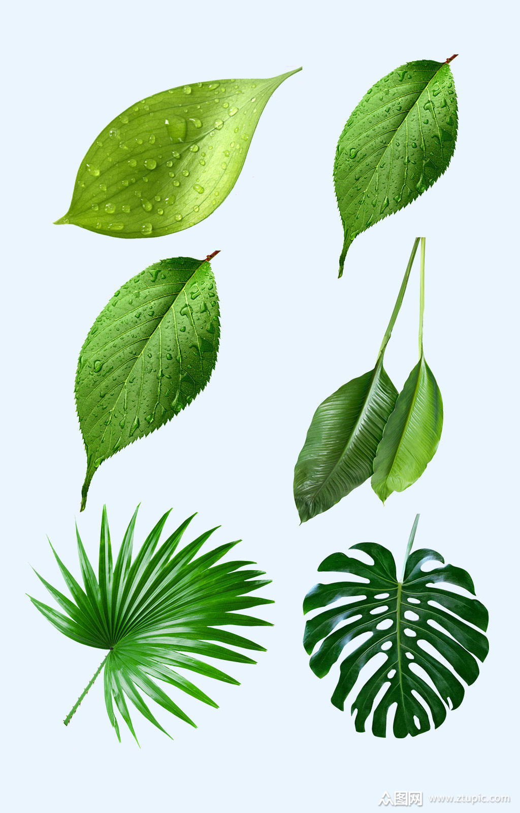 树叶免扣素材png素材免费下载,本作品是由众图用户0032上传的原创免抠