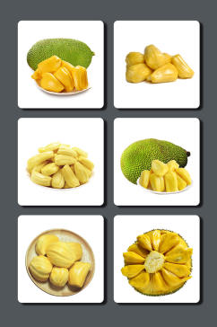高清菠萝蜜水果素材