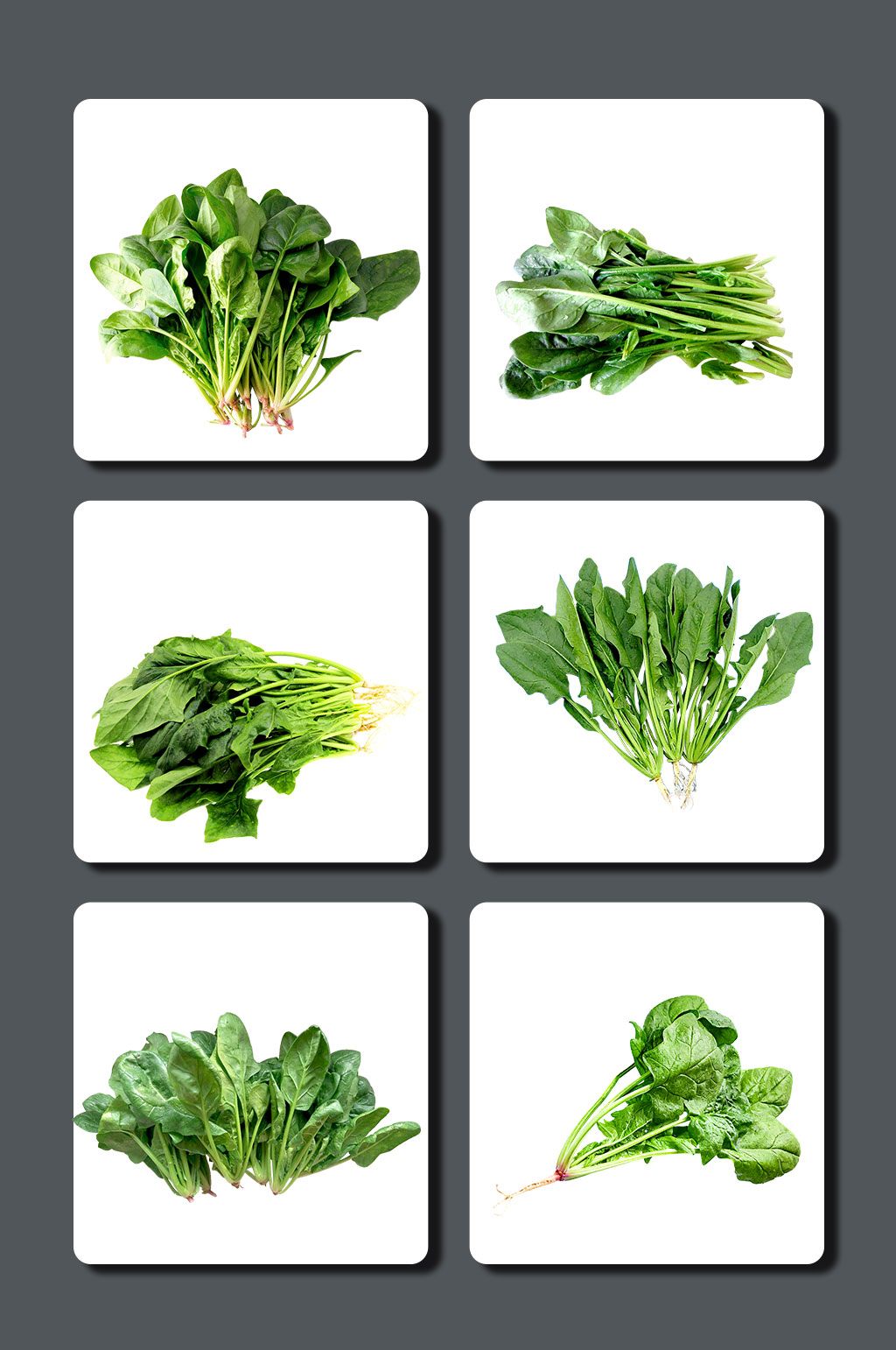 高清波菜蔬菜设计素材素材
