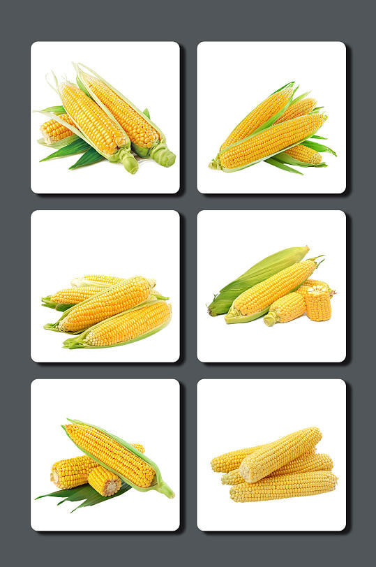 高清蔬菜玉米素材