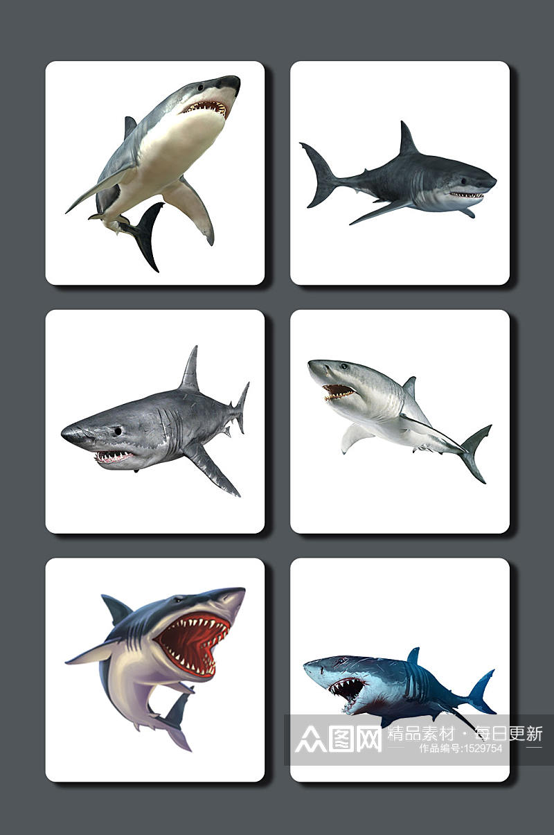 高清鲨鱼设计素材素材