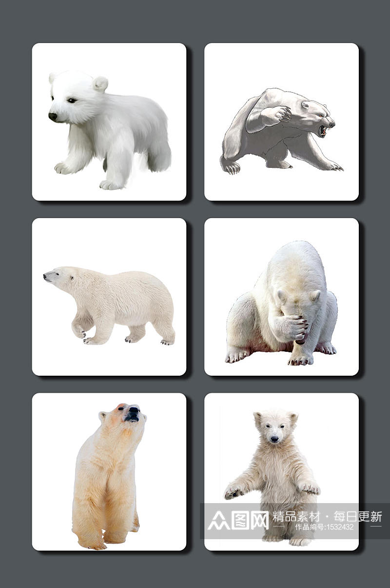 高清动物北极熊图片素材素材