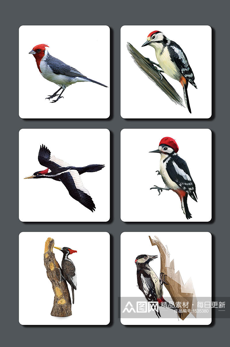 高清啄木鸟图片素材素材