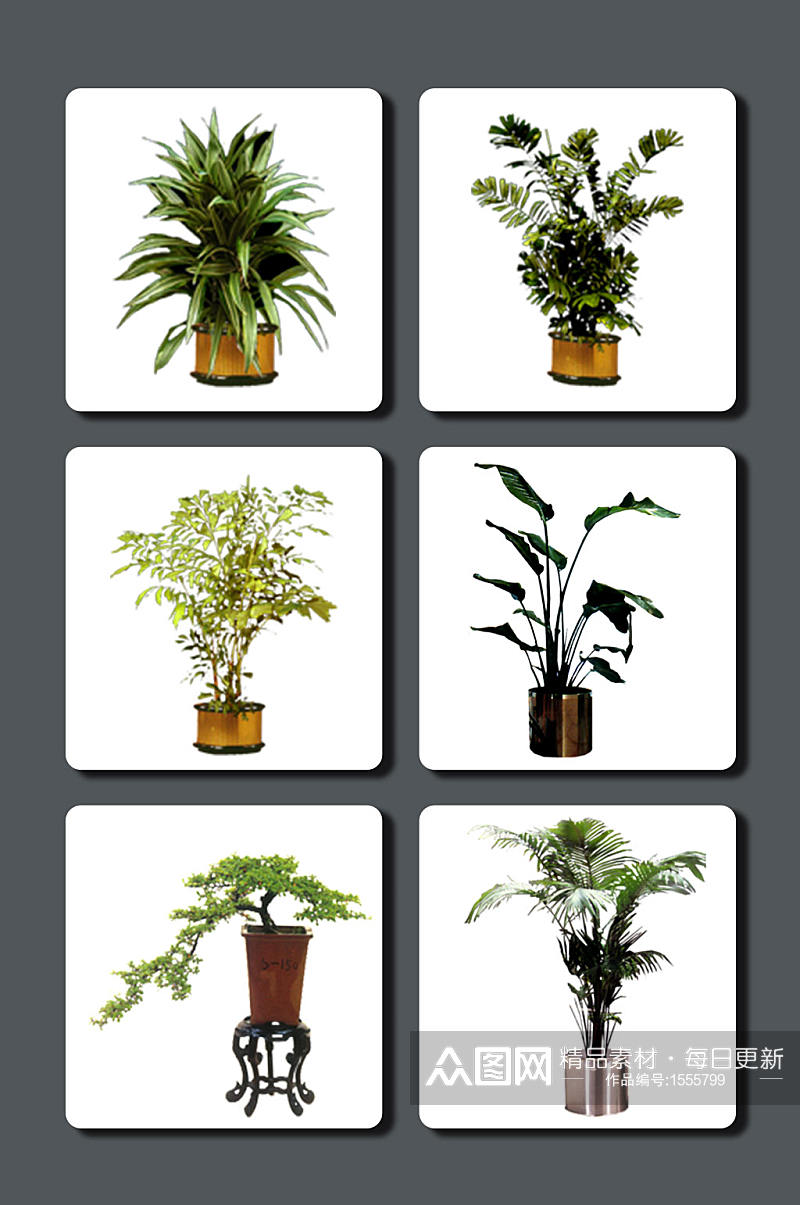 高清植物摆件图片素材素材