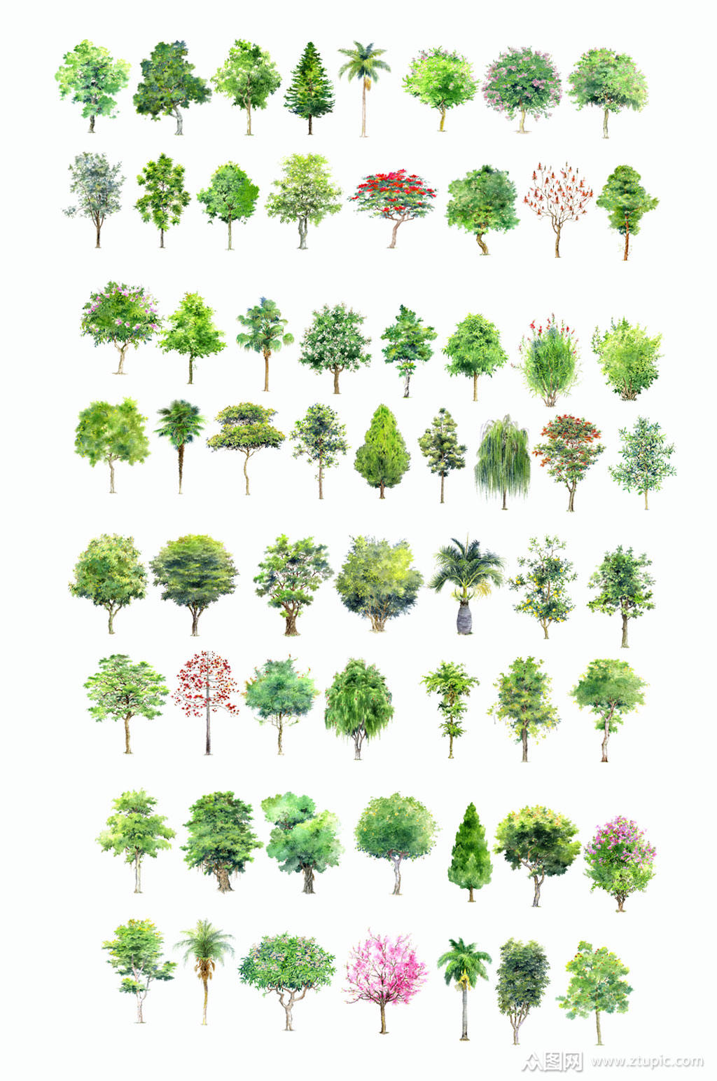 高清园林景观植物设计素材