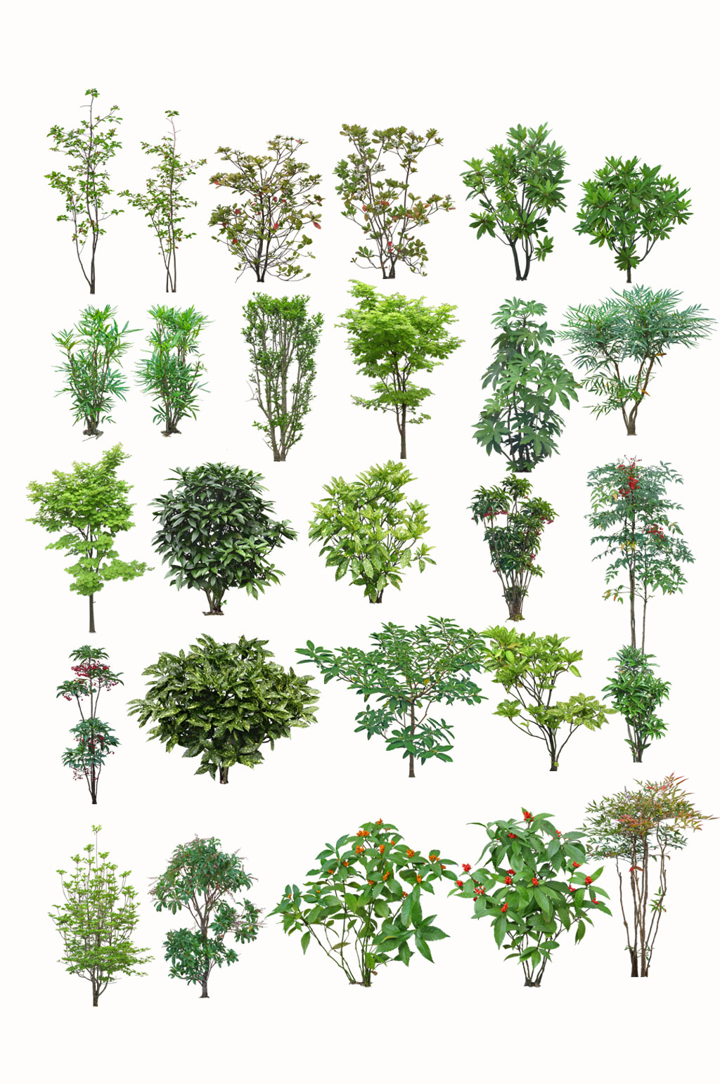 高清园林植物设计素材素材