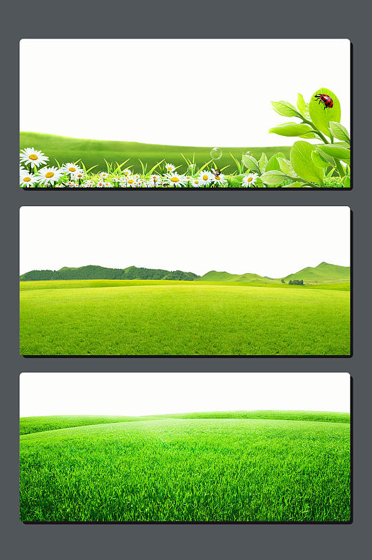 草原背景图片 草原背景设计素材 草原背景模板下载 众图网 草原背景图片 草原背景设计素材 草原背景模板下载 众图网