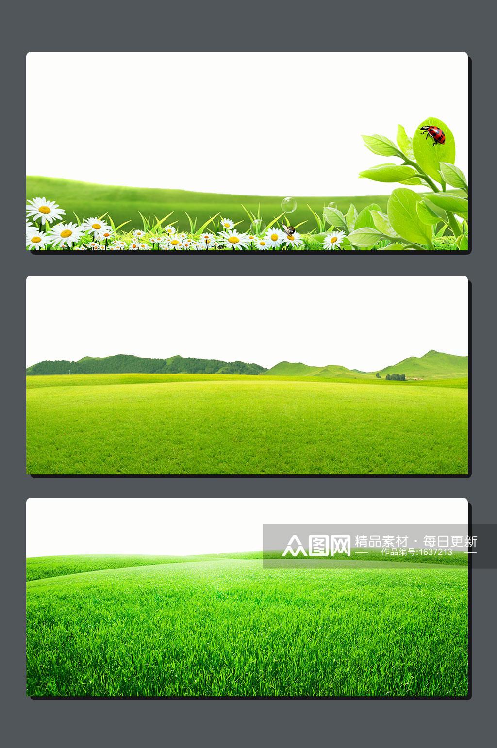 高清草地草原背景素材模板下载 编号 众图网 高清草地草原背景素材模板下载 编号 众图网