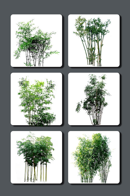 高清竹子设计素材-众图网