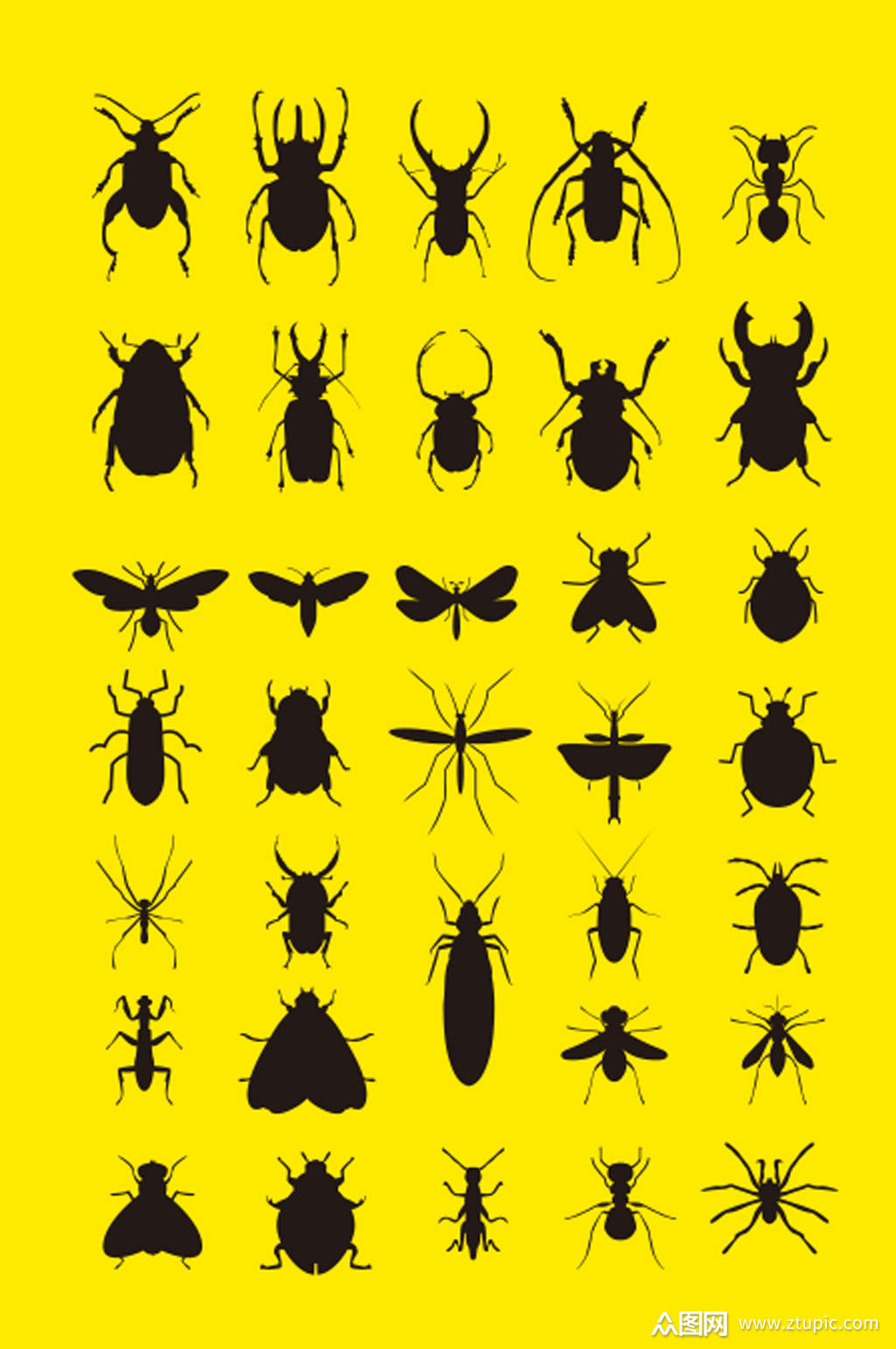 昆虫集剪影图片素材