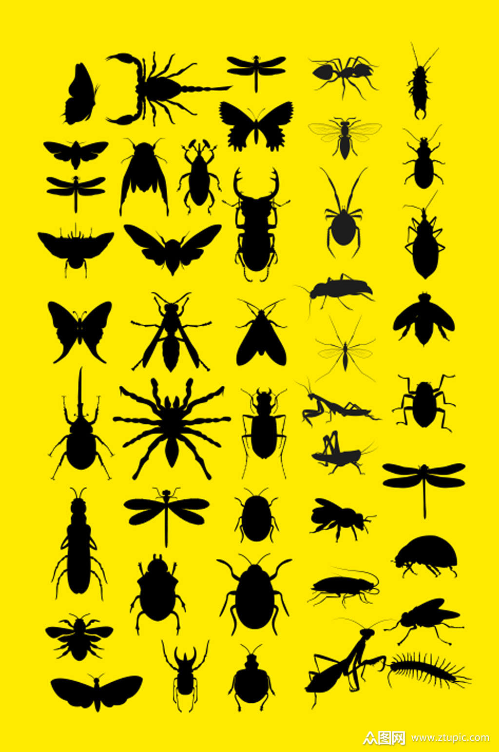 矢量昆虫集剪影素材
