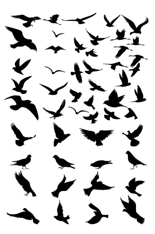 高清鸟类剪影图片素材-众图网