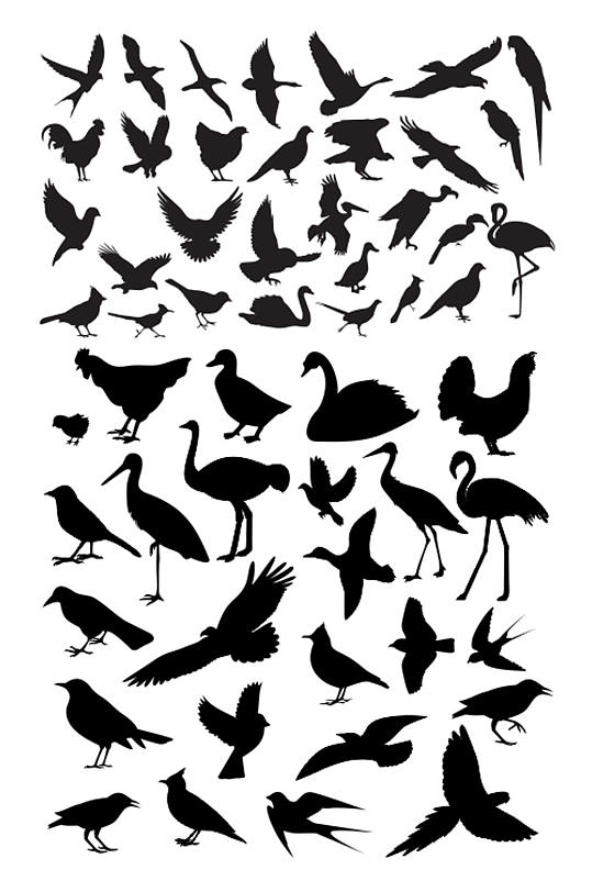 高清图片鸟类剪影素材