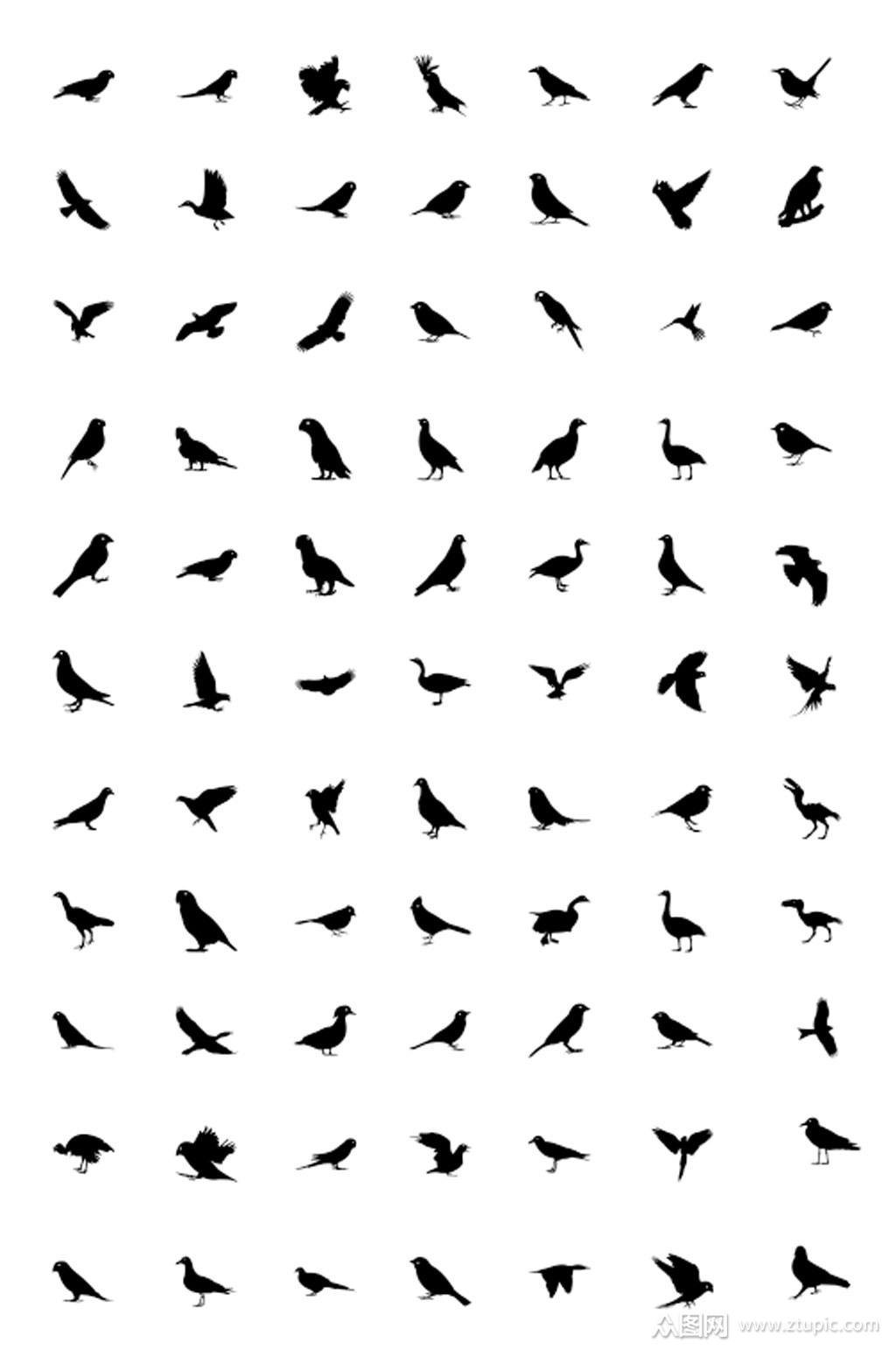 高清鸟类剪影设计素材