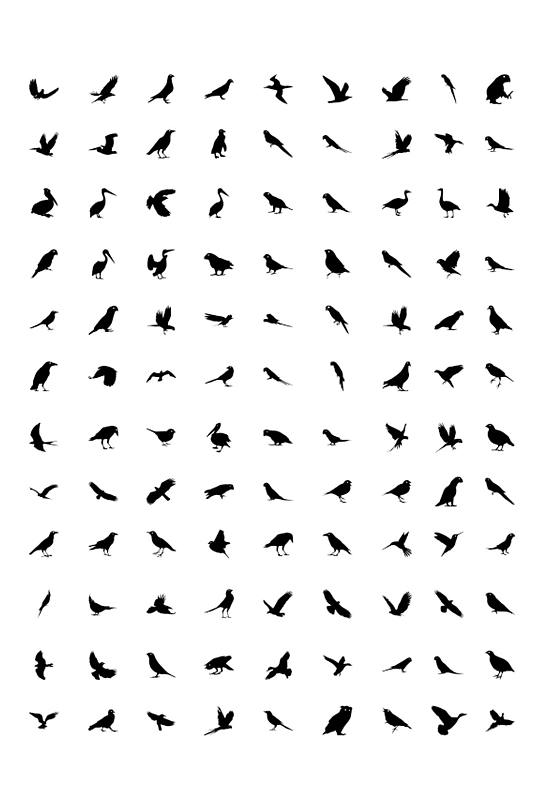 高清鸟类剪影图片素材