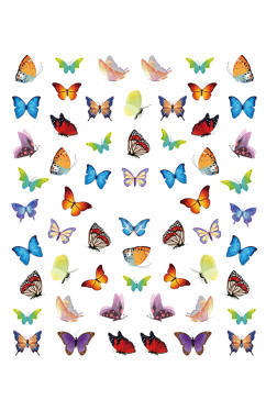 高清卡通蝴蝶图片素材