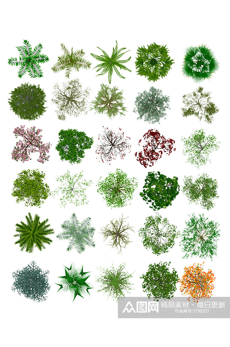 高清园林植物素材素材