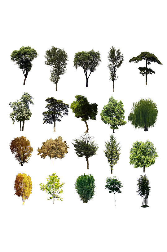 ps平面植物图例图片-ps平面植物图例素材下载-众图网