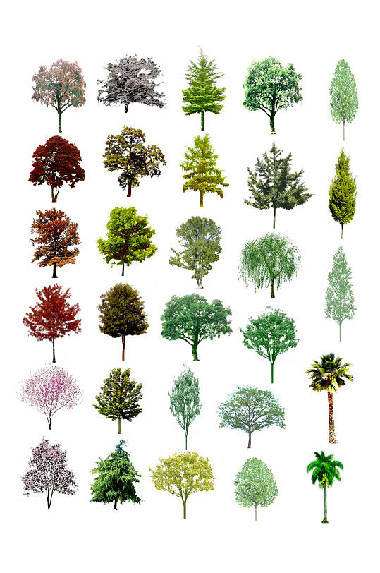 园林植物ps图片-园林植物ps素材下载-众图网