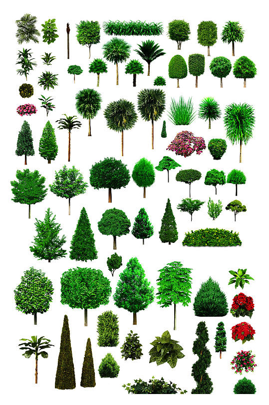 高清园林植物图片素材